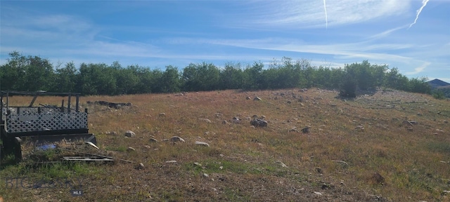 309 Bear Paw Trl, Anaconda, MT 59711 - photo 28