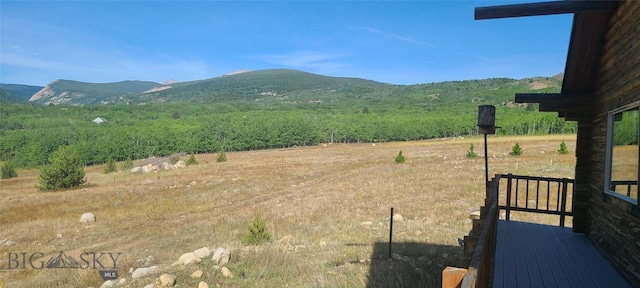 309 Bear Paw Trl, Anaconda, MT 59711 - photo 30