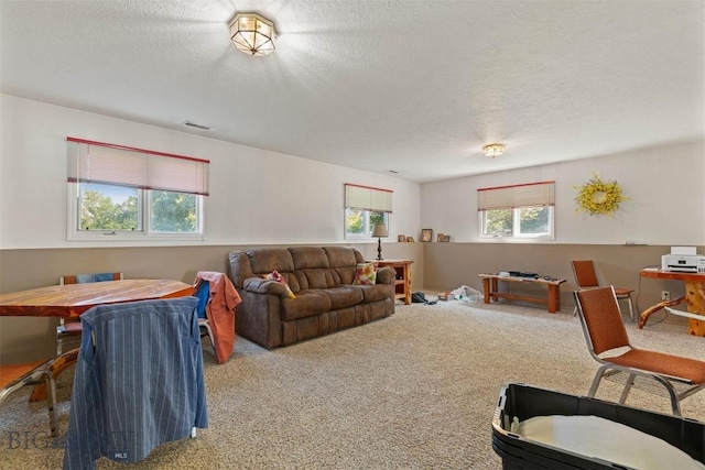 1202 Ludwig Ln, Bozeman, MT 59718 - photo 9