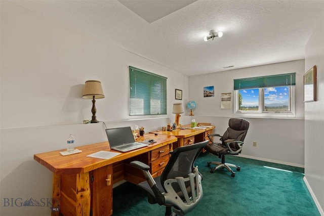 1202 Ludwig Ln, Bozeman, MT 59718 - photo 10