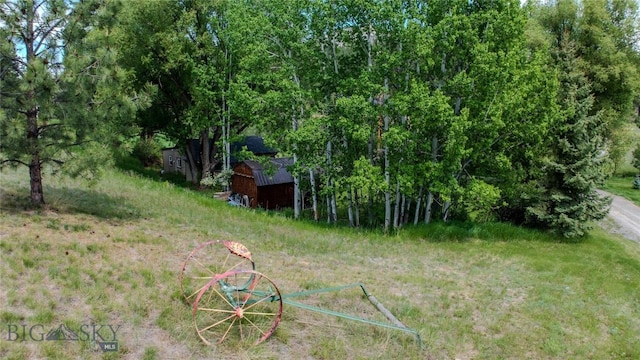 218 Lump Gulch Rd, Clancy, MT 59634 - photo 9