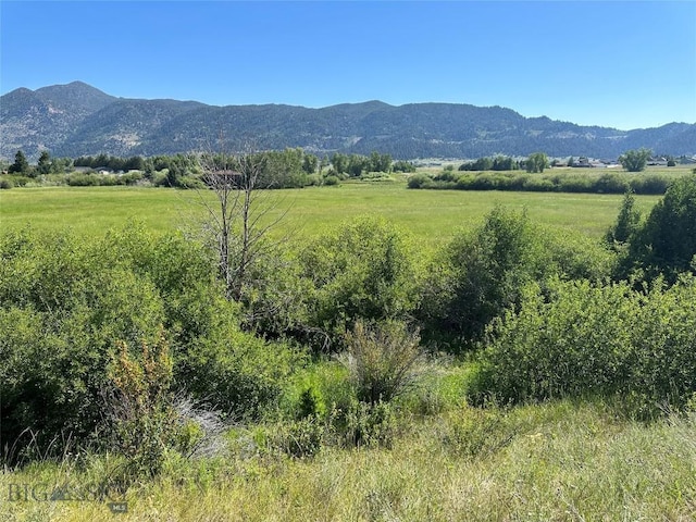 8720 Ridgeview Mdws, Butte, MT 59701 - photo 71