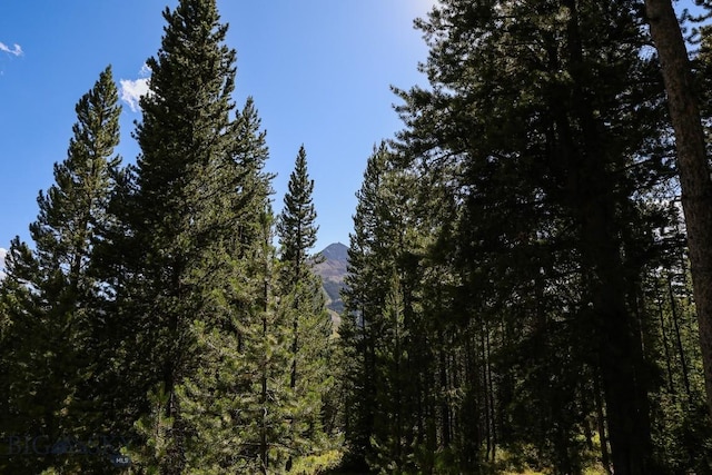 TBD Beehive Basin Rd, Big Sky, MT 59716 - photo 4