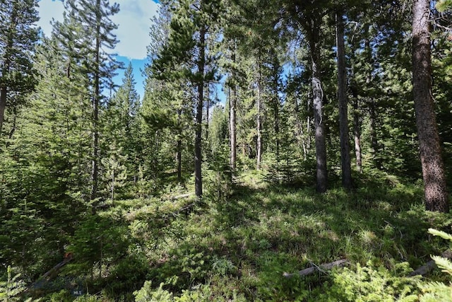 TBD Beehive Basin Rd, Big Sky, MT 59716 - photo 5