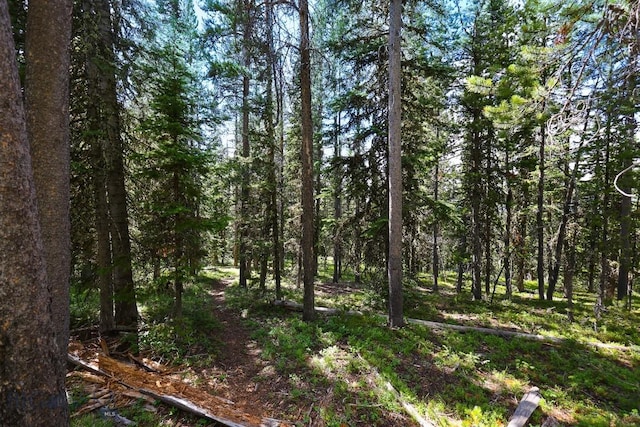 TBD Beehive Basin Rd, Big Sky, MT 59716 - photo 6
