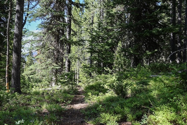 TBD Beehive Basin Rd, Big Sky, MT 59716 - photo 7