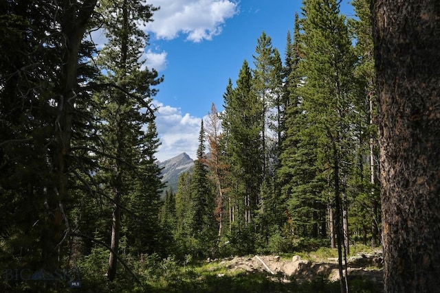 TBD Beehive Basin Rd, Big Sky, MT 59716 - photo 3