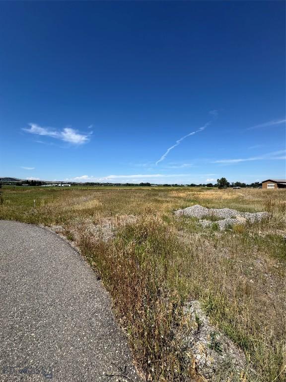 49 Ladybug Ln, Bozeman, MT 59718 - photo 3