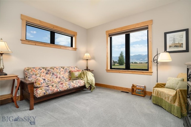 359 Prairie Glen Way, Belgrade, MT 59714 - photo 58