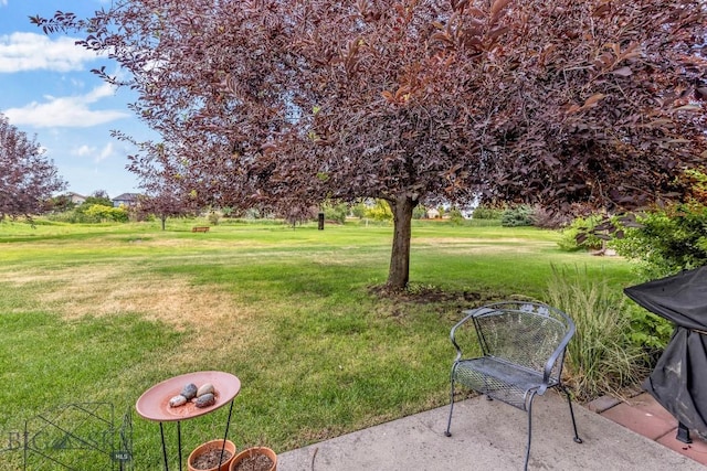 2963 Warbler Way Unit 2, Bozeman, MT 59715 - photo 24