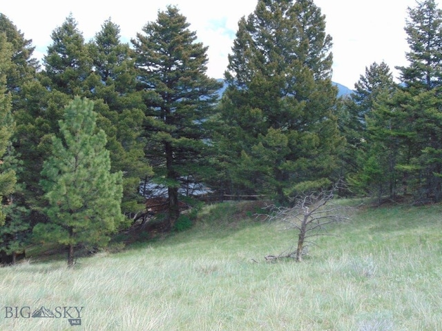 66 Powder House Rd, Jefferson City, MT 59638 - photo 28