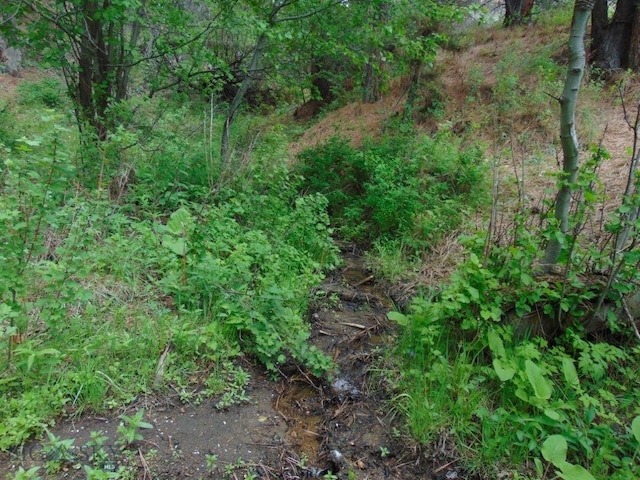 66 Powder House Rd, Jefferson City, MT 59638 - photo 2