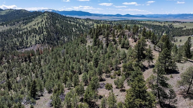 6605 Rising Moon Rd, Helena, MT 59602 - photo 5