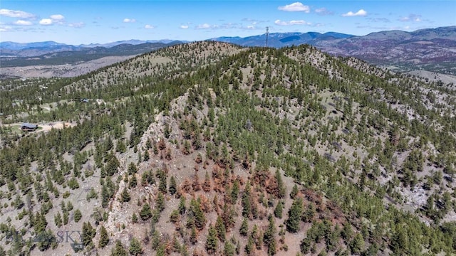6605 Rising Moon Rd, Helena, MT 59602 - photo 9