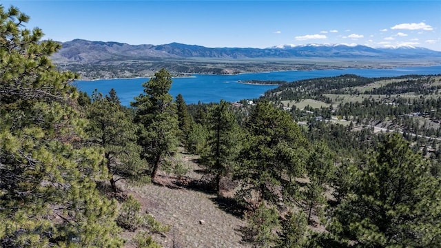 6605 Rising Moon Rd, Helena, MT 59602 - photo 11