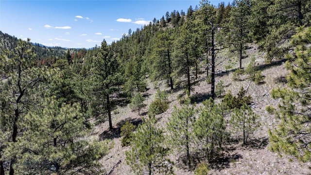 6605 Rising Moon Rd, Helena, MT 59602 - photo 13