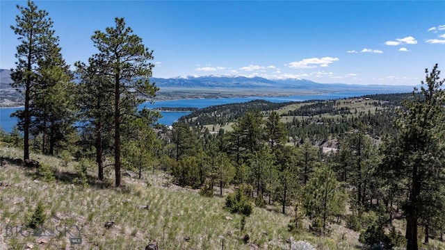 6605 Rising Moon Rd, Helena, MT 59602 - photo 15