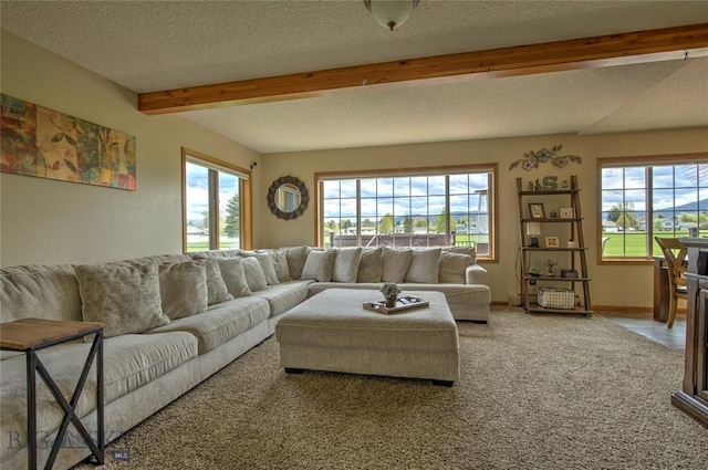 1475 Cayuse Rd, Helena, MT 59602 - photo 31