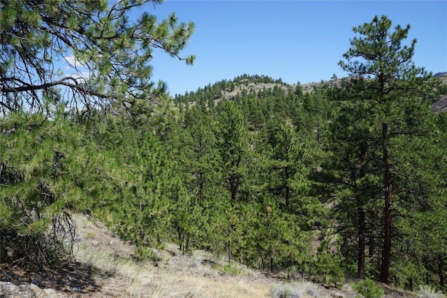 558 Dearborn River Rd, Cascade, MT 59421 - photo 18