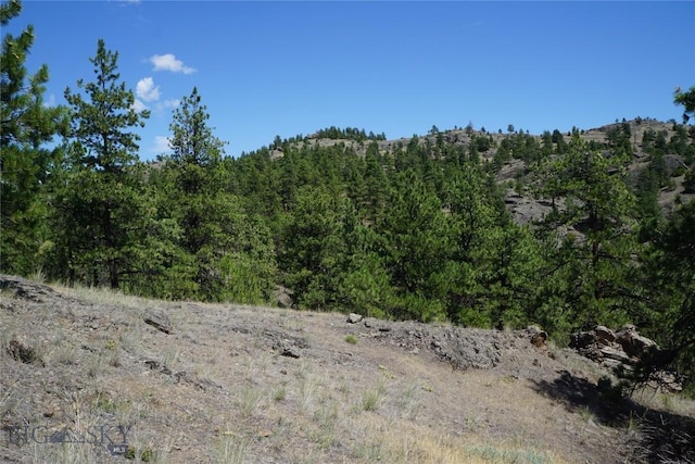 558 Dearborn River Rd, Cascade, MT 59421 - photo 20