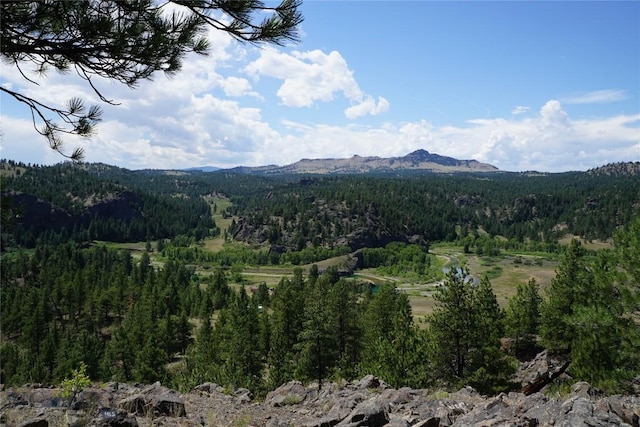 558 Dearborn River Rd, Cascade, MT 59421 - photo 21