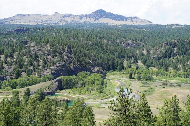 558 Dearborn River Rd, Cascade, MT 59421 - photo 22