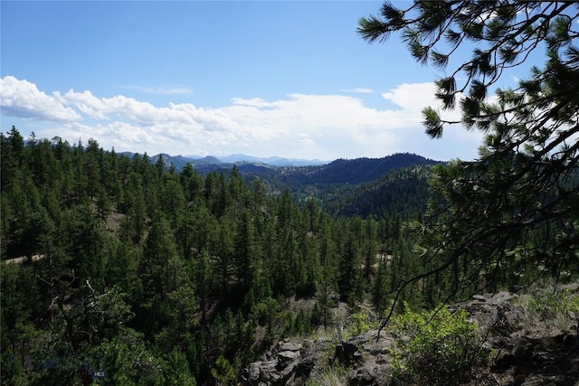 558 Dearborn River Rd, Cascade, MT 59421 - photo 24