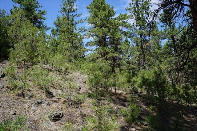 558 Dearborn River Rd, Cascade, MT 59421 - photo 25