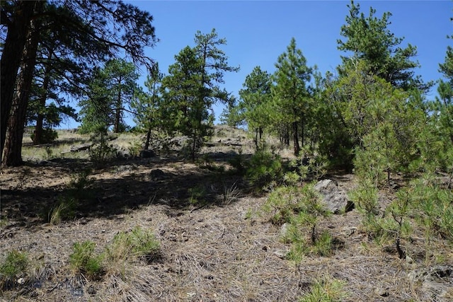 558 Dearborn River Rd, Cascade, MT 59421 - photo 26
