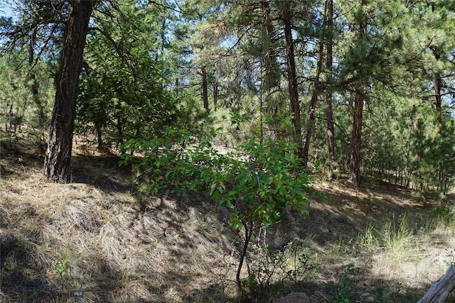 558 Dearborn River Rd, Cascade, MT 59421 - photo 27