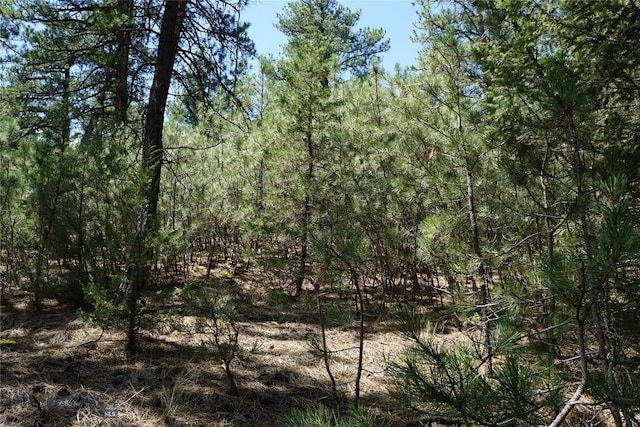 558 Dearborn River Rd, Cascade, MT 59421 - photo 28