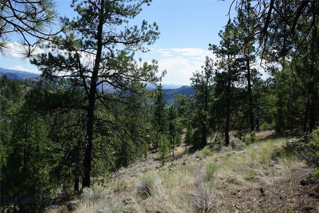 558 Dearborn River Rd, Cascade, MT 59421 - photo 1