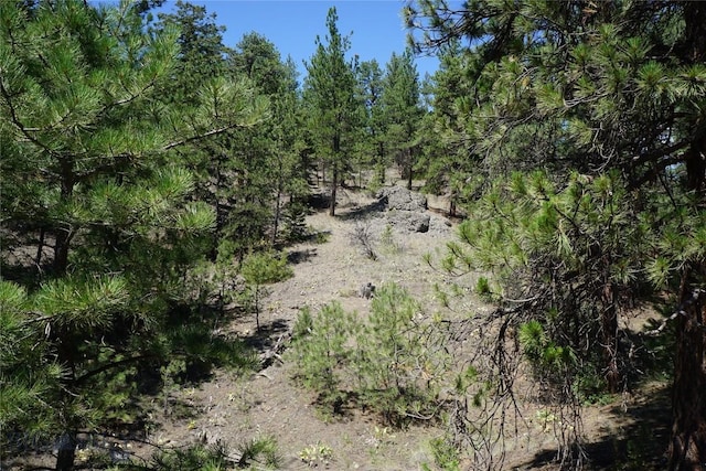 558 Dearborn River Rd, Cascade, MT 59421 - photo 2