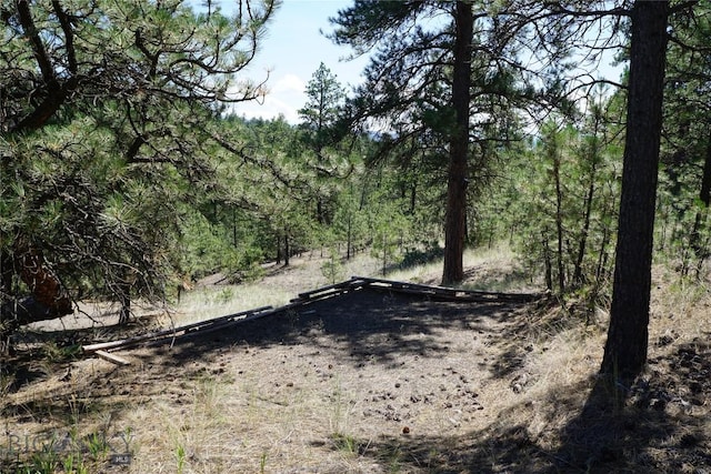 558 Dearborn River Rd, Cascade, MT 59421 - photo 4