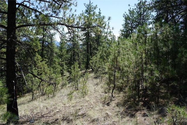 558 Dearborn River Rd, Cascade, MT 59421 - photo 8