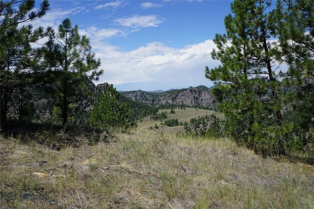 558 Dearborn River Rd, Cascade, MT 59421 - photo 9
