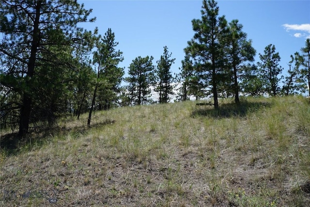 558 Dearborn River Rd, Cascade, MT 59421 - photo 10
