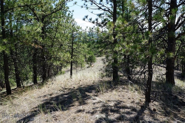 558 Dearborn River Rd, Cascade, MT 59421 - photo 11