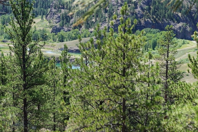 558 Dearborn River Rd, Cascade, MT 59421 - photo 13