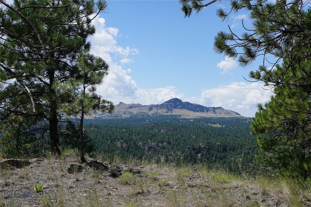 558 Dearborn River Rd, Cascade, MT 59421 - photo 15