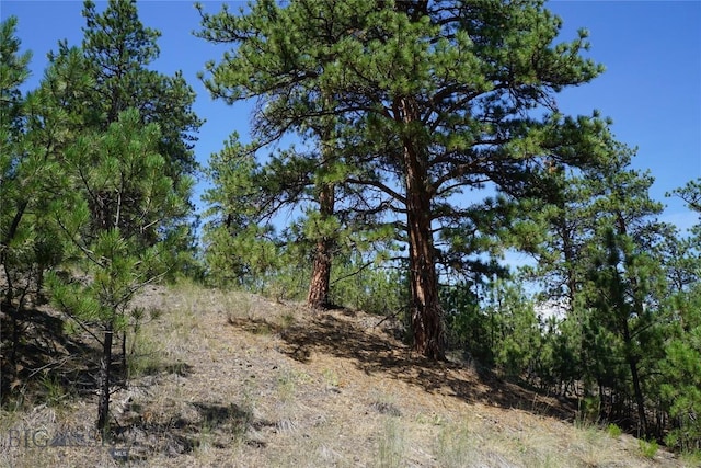 558 Dearborn River Rd, Cascade, MT 59421 - photo 32