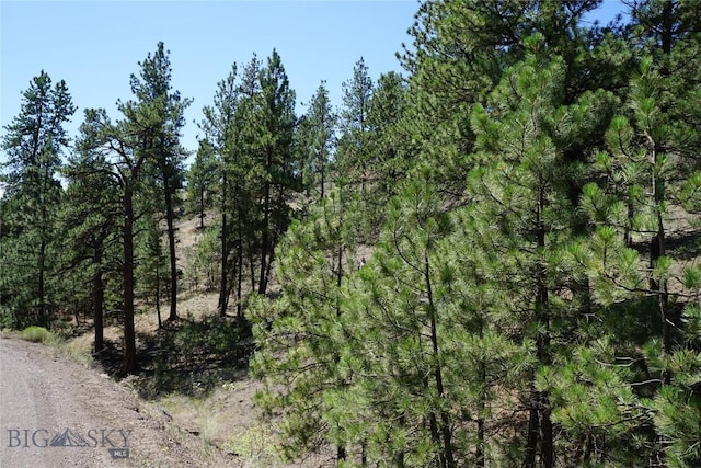558 Dearborn River Rd, Cascade, MT 59421 - photo 33