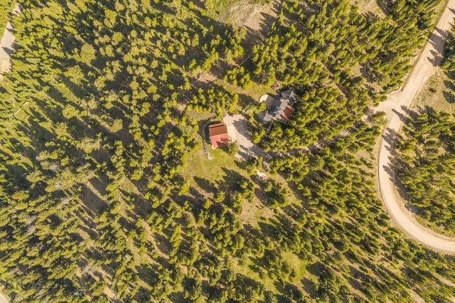 121 Old Toby Rd, Big Sky, MT 59716 - photo 9