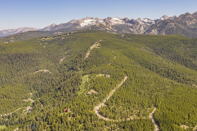 121 Old Toby Rd, Big Sky, MT 59716 - photo 10