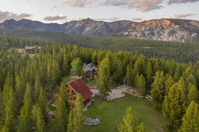 121 Old Toby Rd, Big Sky, MT 59716 - photo 13