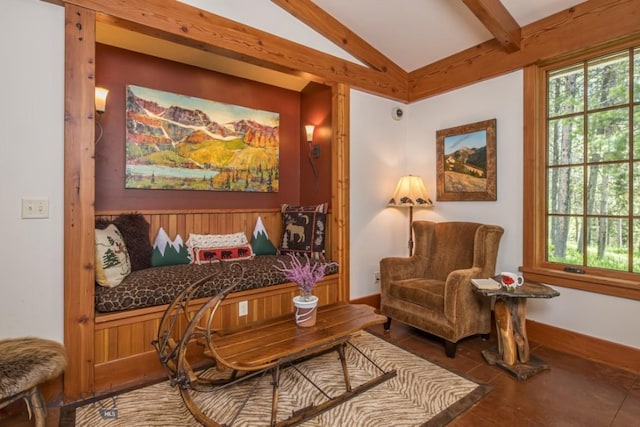 121 Old Toby Rd, Big Sky, MT 59716 - photo 43