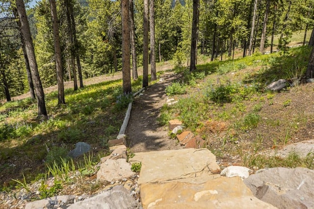 121 Old Toby Rd, Big Sky, MT 59716 - photo 65