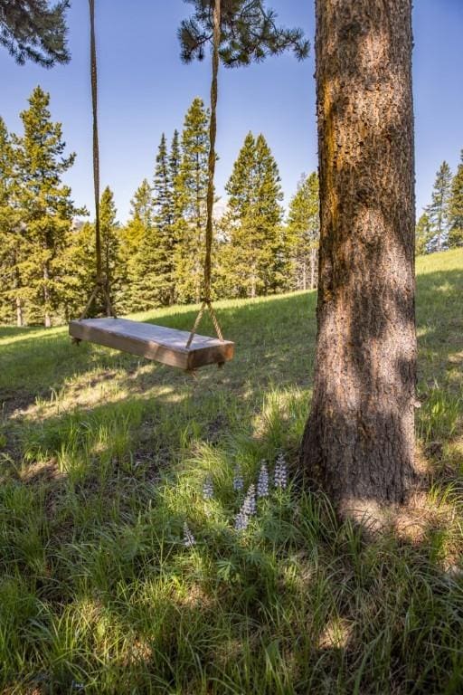 121 Old Toby Rd, Big Sky, MT 59716 - photo 68