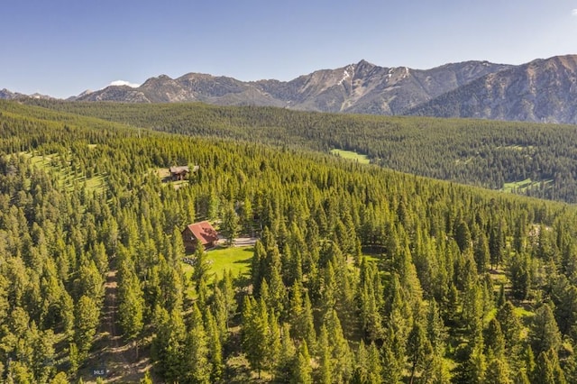 121 Old Toby Rd, Big Sky, MT 59716 - photo 75