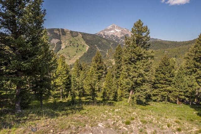 121 Old Toby Rd, Big Sky, MT 59716 - photo 23